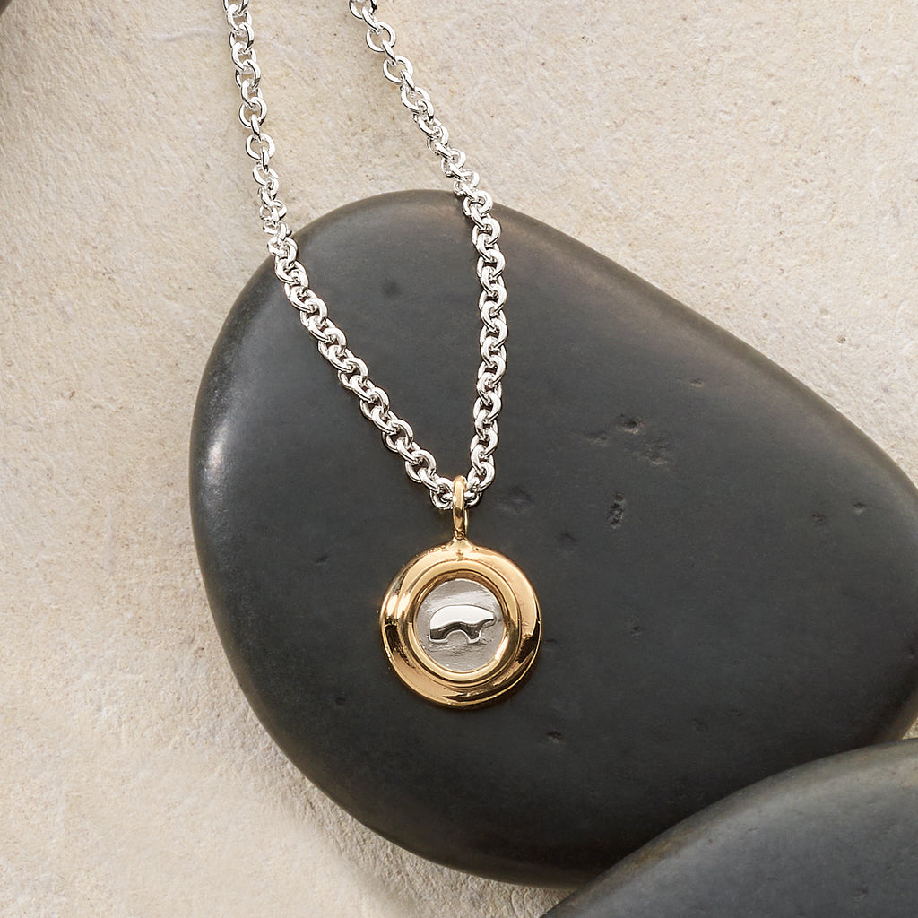 Two Tone Shiny Coin Necklace – The Golden Bear