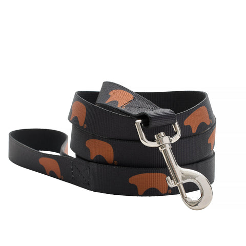 Husky Dog Leash