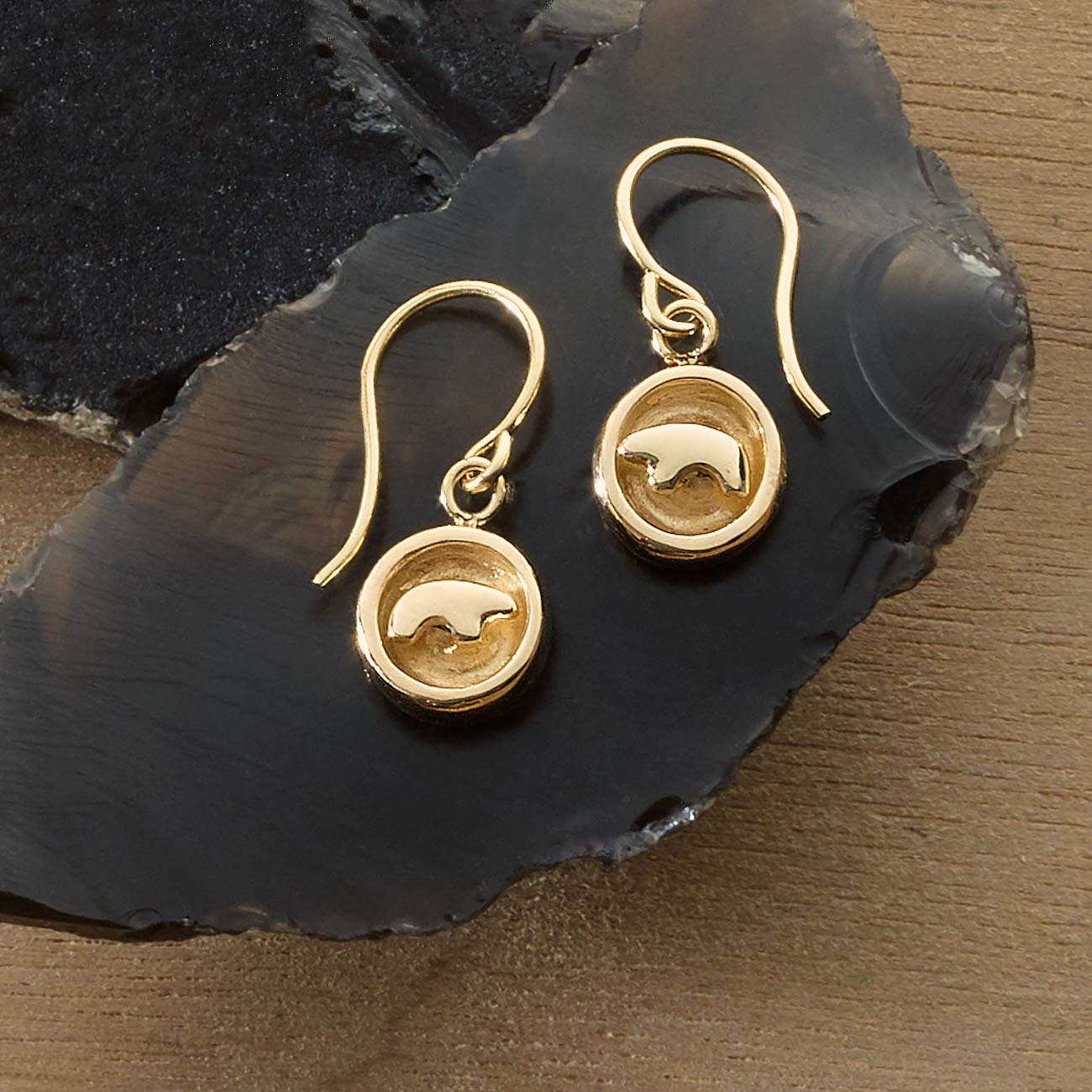 Solid gold deals coin earrings